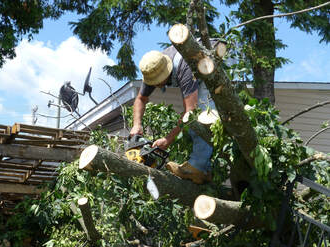 Emergency tree removal, Joliet IL